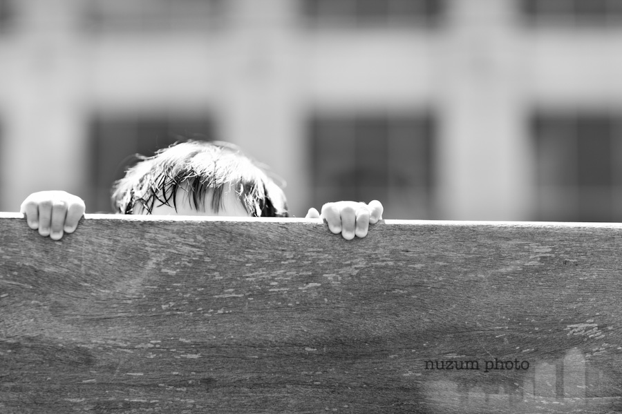 Des Moines Family Photographers Nuzum Photo