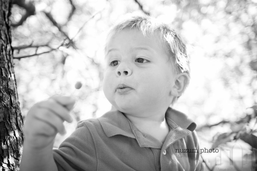 Des Moines Iowa Family Photographer Nuzum Photo Des Moines Iowa Family Photographer Nuzum Photo