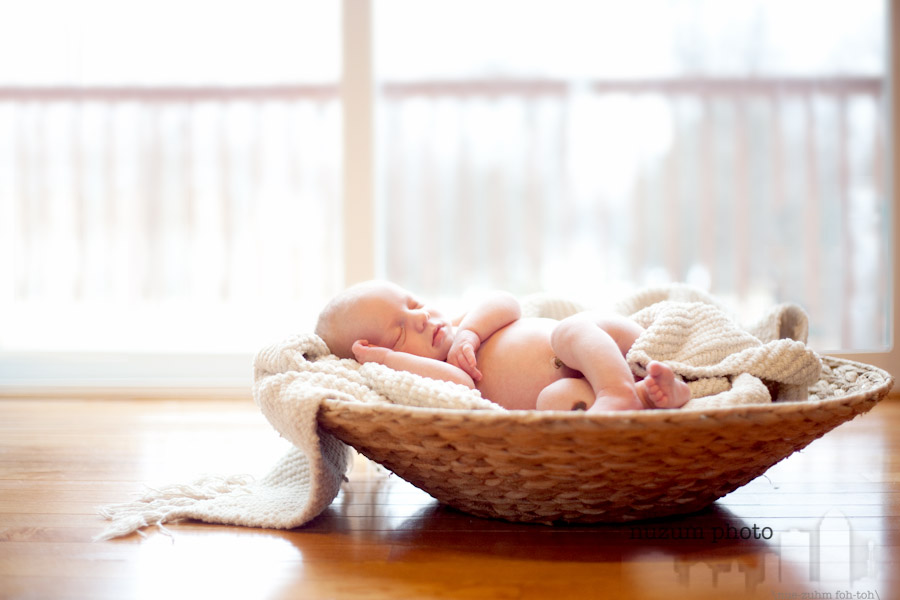 Des Moines Newborn Photographer Nuzum Photo