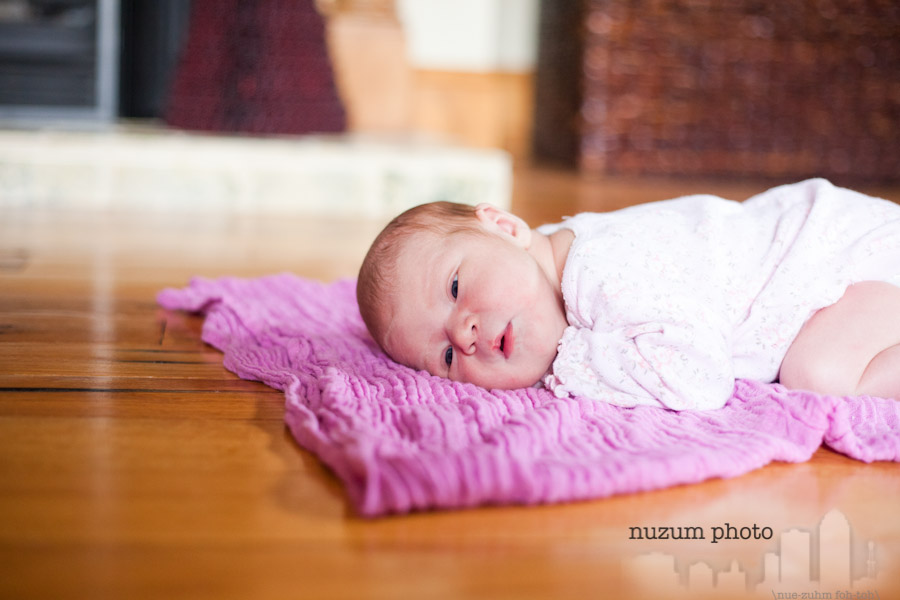 Des Moines Iowa Newborn Photographer 