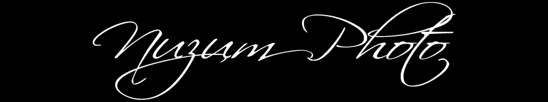 Nuzum Photo Des Moines Photographer